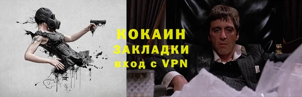 дмт Гусь-Хрустальный