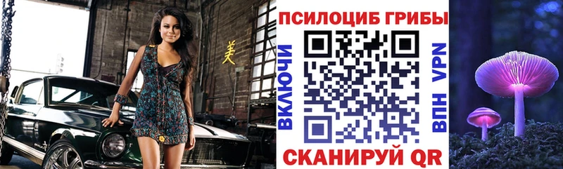 Псилоцибиновые грибы MAGIC MUSHROOMS  Купить закладки  Карпинск 