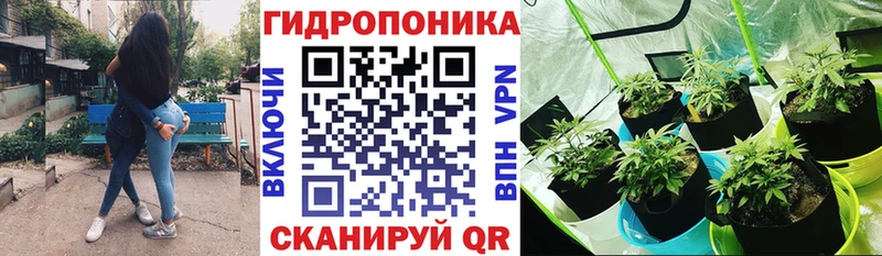Купить где  Карпинск  Бошки марихуана Bruce Banner 